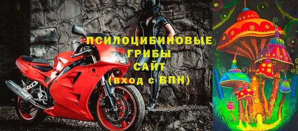 Альфа ПВП Арсеньев